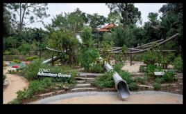 Grădina Botanică Locul de joacă al naturii